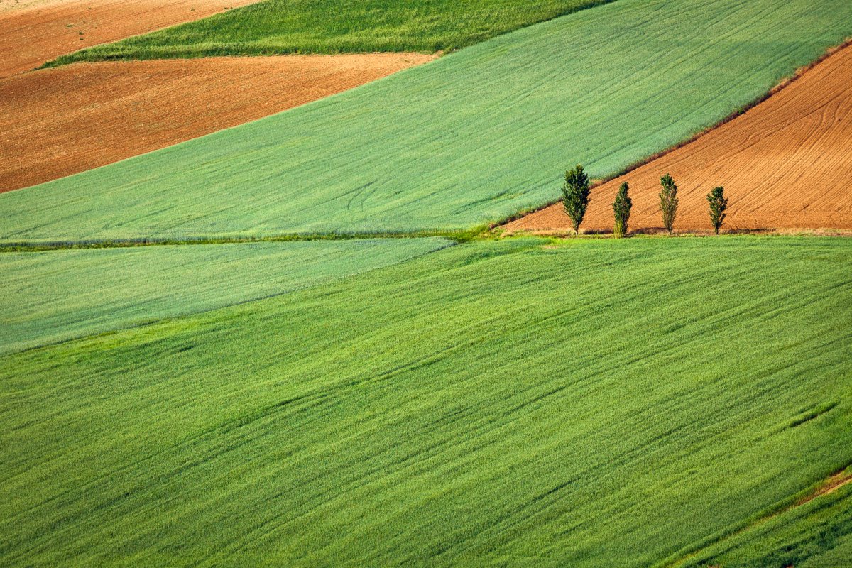 Landscape